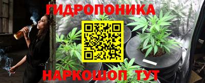 гашик Анапа