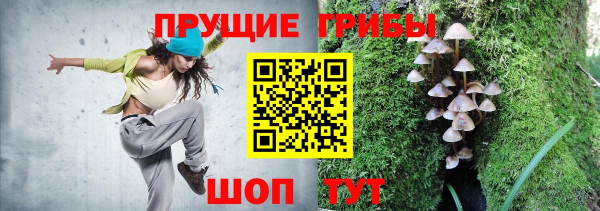 Галлюциногенные грибы мицелий  Вход с VPN  Выкса 